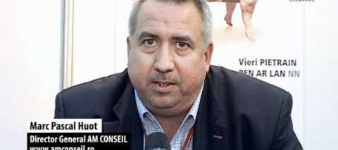 AM CONSEIL