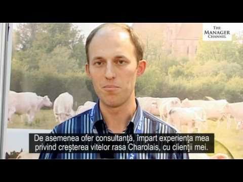 Charolais Hoeffel