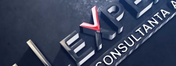 NELLEXPERT – Cabinet de expertiza contabila, audit financiar si consultanta fiscala