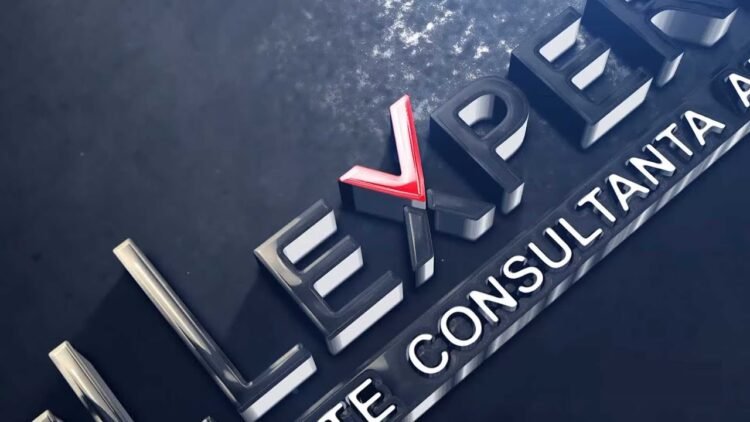 NELLEXPERT – Cabinet de expertiza contabila, audit financiar si consultanta fiscala