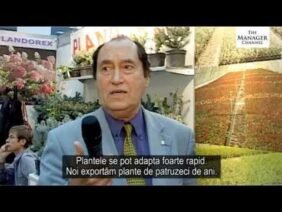 PLANDOREX Exportator de rasaduri