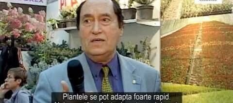 PLANDOREX Exportator de rasaduri